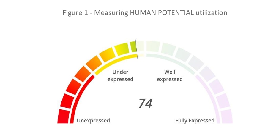 Figure 1 — Measuring human potential utilization