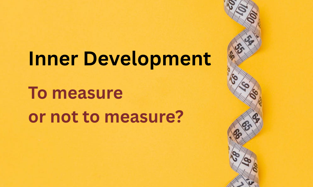 Inner Development Goals: To Measure or Not to Measure?