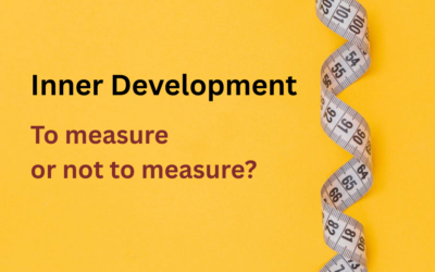 Inner Development Goals: To Measure or Not to Measure?